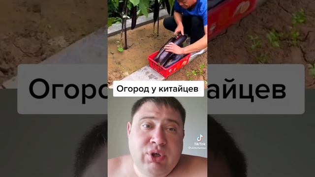 как обустроить маленький участок насаждениями удобно смотреть онлайн