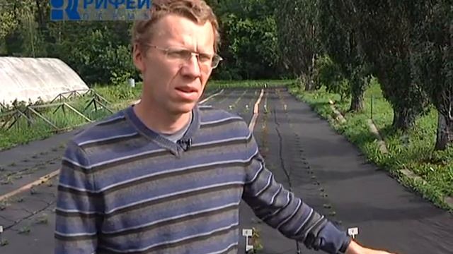 Зеленый участок Мультирование и капельный полив смотреть онлайн