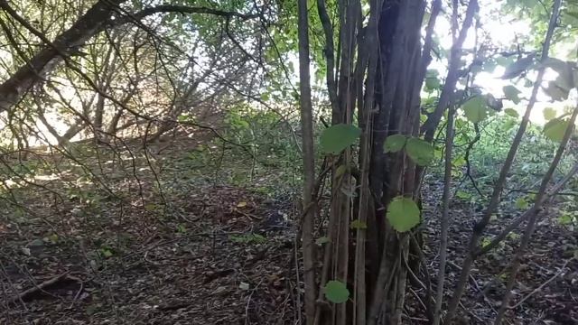 КоП вдоль скошенных полей!!! смотреть онлайн