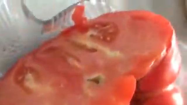 Помидор—Гигант смотреть онлайн