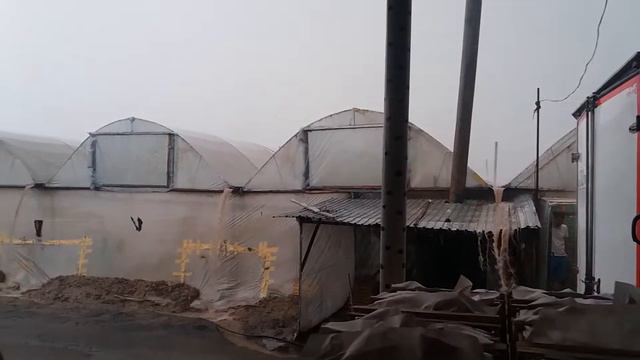 силнй дожд сарыагаш смотреть онлайн