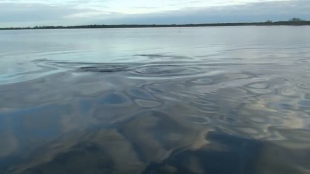 ЗАГОРОДНЫЙ ОТДЫХ, ОТДЫХ НА ПРИРОДЕ, летняя рыбалка на озере Пякуто, смотреть онлайн