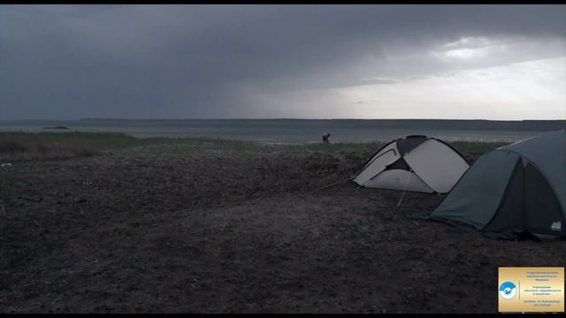Романтики полевых дорог. Каспий, 2015 смотреть онлайн