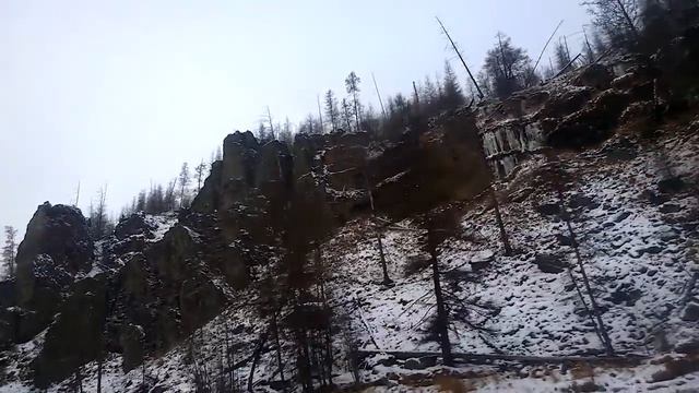 Рыболовные красоты 