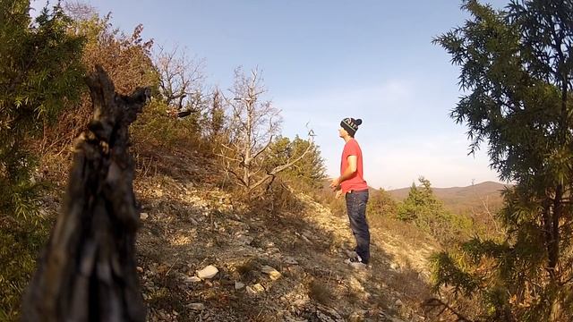 Кипарисовое озеро Сукко смотреть онлайн