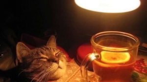 комфортный_плейлист_чтобы_чувствовать_себя_хотя_бы_немножко_лучше