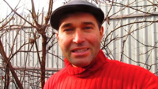 КОГДА БУДУ ОБРЕЗАТЬ ПЛОДОВУЮ СТЕНУ- зимой! смотреть онлайн