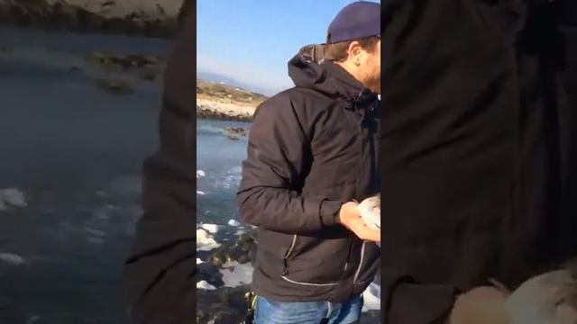 РЫБАЛКА В ДАГЕСТАНЕ. ИЗБЕРБАШ. КУТУМ. смотреть онлайн