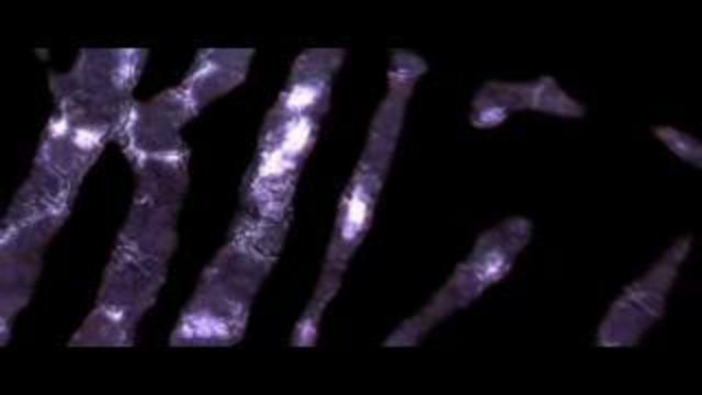 Starcraft 2 Zerg Reveal смотреть онлайн