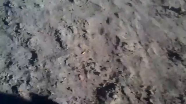Активная овчарка смотреть онлайн