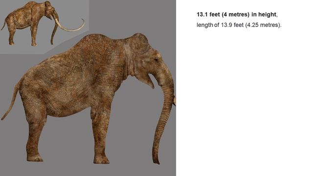 primeval columbian mammoth смотреть онлайн