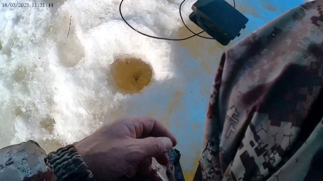Весна, однако! (1) Рыбалка 18.03.2023г.