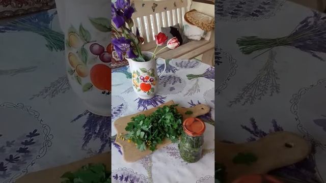 Заготавливаем чистотел на зиму. смотреть онлайн