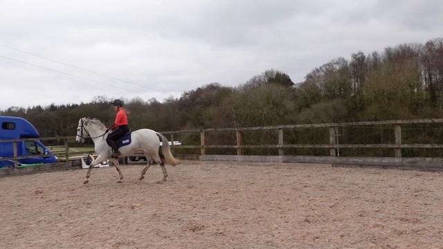 SPIDER JUMPING EXERCISE ~ Testing out this showjumping trend... finally смотреть онлайн