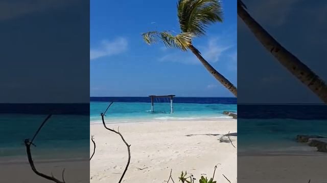 Рай на Мальдивских островах Biyadhoo Island Resort смотреть онлайн