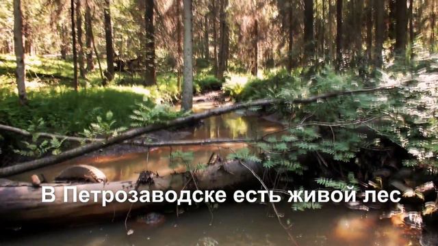 short gorlesa смотреть онлайн