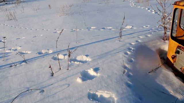 Социальная значимость видеоигр и роль игр в обществе смотреть онлайн