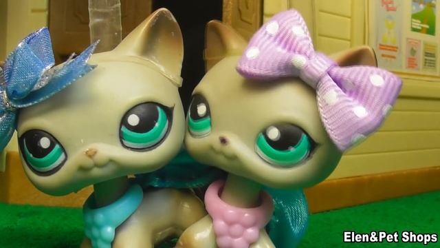 LPS Сиамские близнецы 41 серия смотреть онлайн