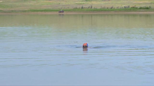 Поездка на первый съезд подводных охотников Крыма смотреть онлайн