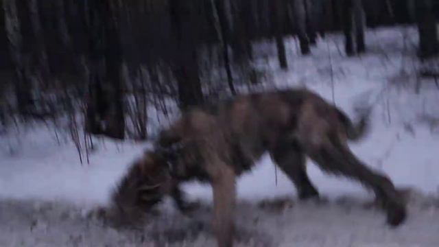 MVI 2895 смотреть онлайн