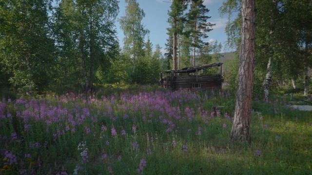 СИБИРСКИЕ РЫБАКИ-КАМИКАДЗЕ. часть 1 | Путешествие на водометах по реке Хам-Сара, Тыва, Сибирь смотреть онлайн