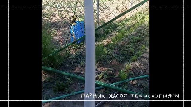 ПАРНИК ЖАСОО ТЕХНОЛОГИЯСЫ смотреть онлайн