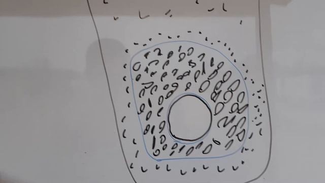 Что произошло с участком за зиму,как дренаж справился с большим объемом воды от растаявшего снега. смотреть онлайн