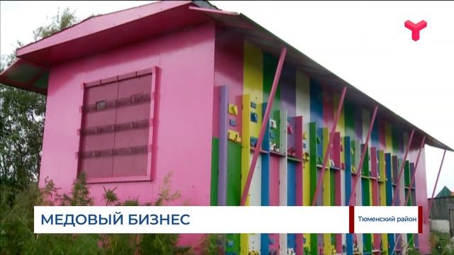 Медовый бизнес / Тюменская область смотреть онлайн