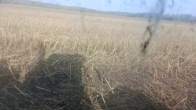 Нива СК-5 /УБОРКА ПОДСОЛНУХА\ "ФИНАЛ" смотреть онлайн