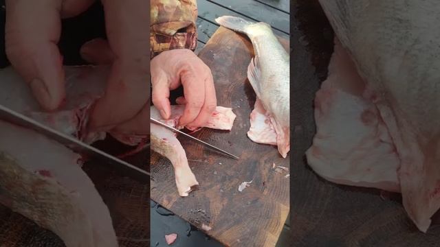 Фильмы и Сериалы