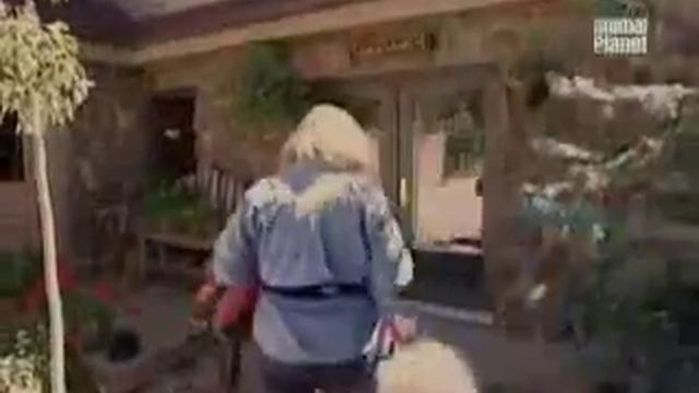 Все о собаках. Самоедская лайка смотреть онлайн