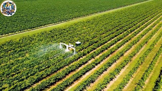 The Most Modern Agriculture Machines That Are At Another Level, How To Harvest Carrot In Farm▶17 смотреть онлайн