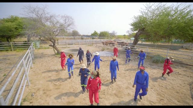 UNAM,Ogongo Campus #Jerusalema Dance Challenge 2020. смотреть онлайн