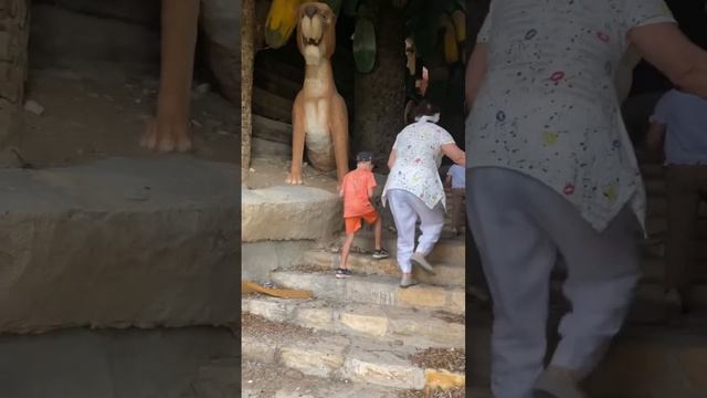 26 ноября 2023 г.