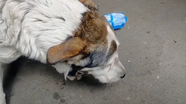 #нетвойне Пришёл раз за две недели. смотреть онлайн