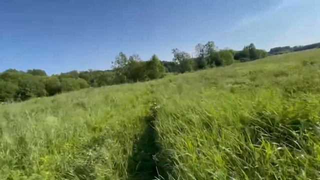 На мопеде Альфа по полям на максималке смотреть онлайн