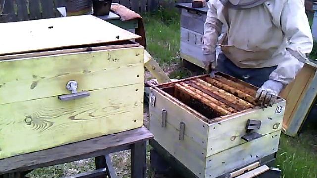 Дадан Постановка второго корпуса смотреть онлайн