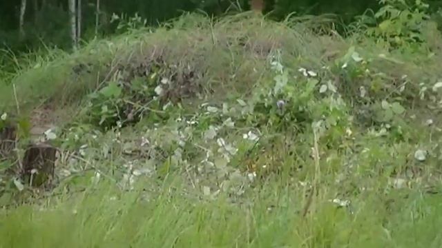 Два живописных участка в Южном Подмосковье. СНТ Воронино. смотреть онлайн