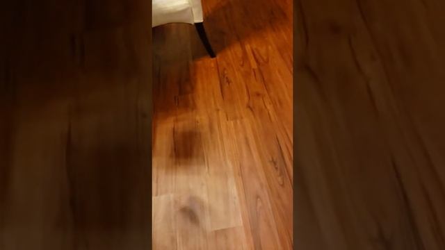 Demon Dealings 101 смотреть онлайн
