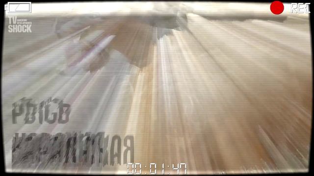 САМЫЕ ОПАСНЫЕ ХИЩНИКИ - ОТРЯД КОШАЧЬИ смотреть онлайн