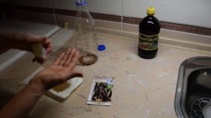 Замачивание семян баклажан перед посадкой