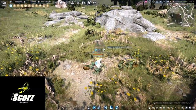 Афк заработок в БДО в 2022! Фарм серебра с огорода. Гайд для новичков Black Desert (MMORPG) смотреть онлайн