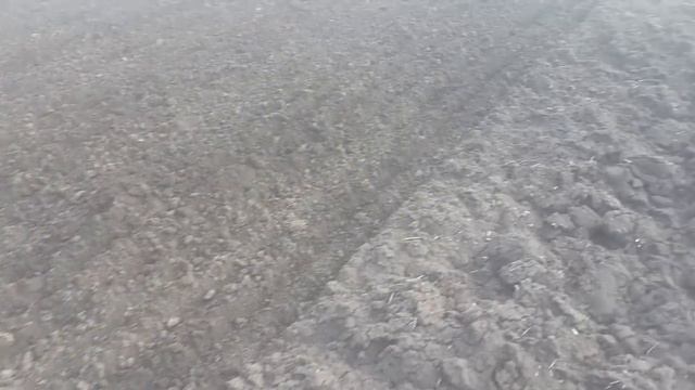 Боронование Лозовской пружинной бороной ранней весной МТЗ-82.2 смотреть онлайн