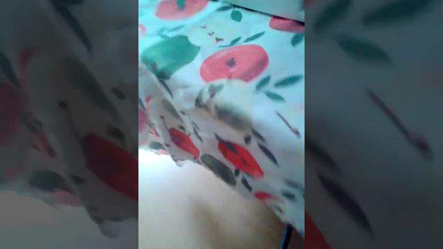 Первая часть когда буду делать шашлыки смотреть онлайн