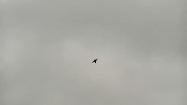 GREAT RC JET MODEL SHOW WITH 2X SUKHOI SU-30 MK ELSTER JET TEAM FLIGHT TO MUSIC смотреть онлайн