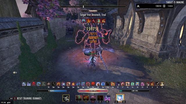 ESO - 140K DPS Stamina Sorcerer | Scions of Ithelia смотреть онлайн