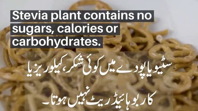 This Stevia Plant is a Special Reward from Allah Almighty смотреть онлайн