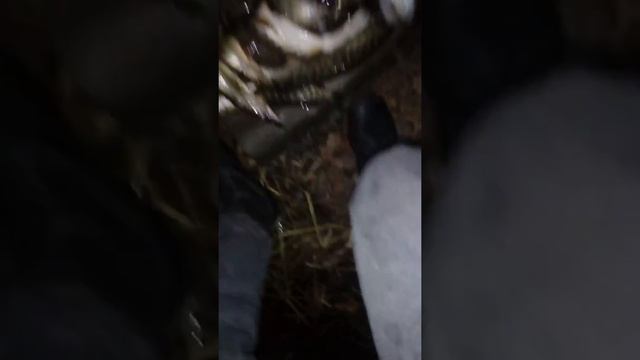 РЫБАЛКА С ОСТРОГОЙ. БЕЗ ЦЕНЗУРЫ!!!! смотреть онлайн