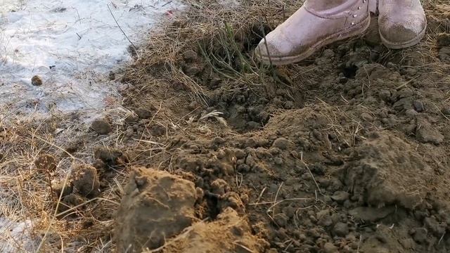 Строим Сами