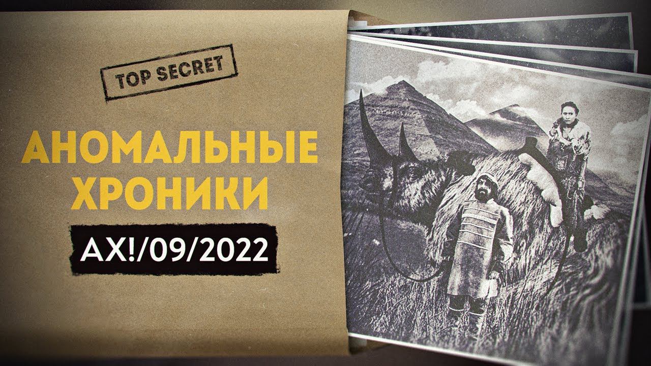 Истоки цивилизации уходят всё дальше на север России смотреть онлайн